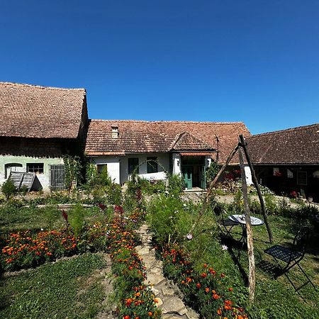 Saschiz 175 Guesthouse Exteriér fotografie