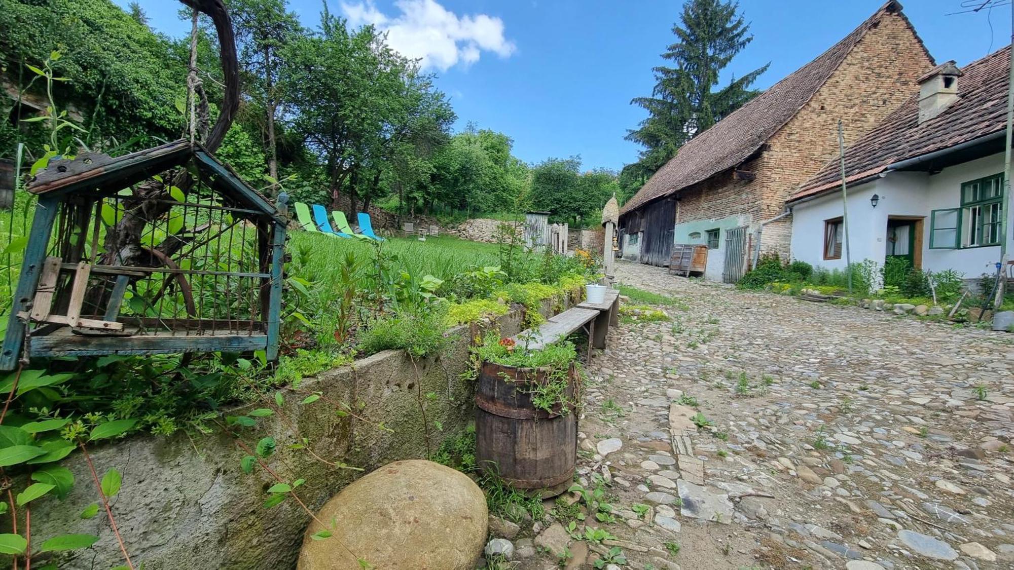 Saschiz 175 Guesthouse Exteriér fotografie