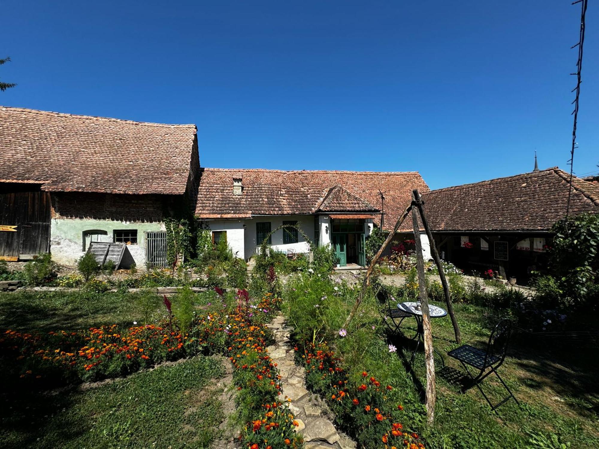 Saschiz 175 Guesthouse Exteriér fotografie